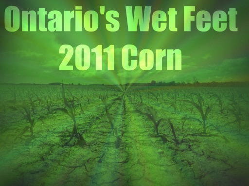 Ontario's Wet Feet