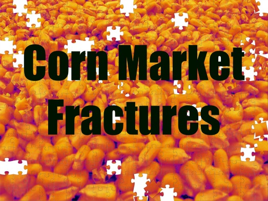 Corn Market Fractures