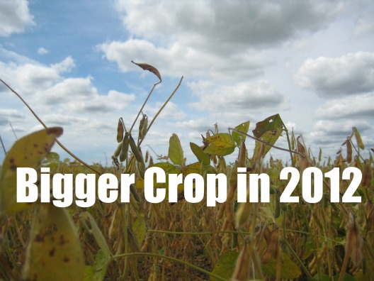 Bigger Crop 2012