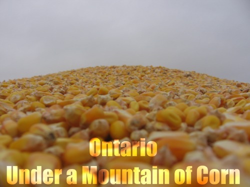 Ontario Corn Mountain